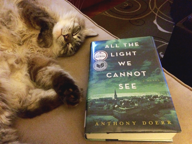 all the light we cannot see book